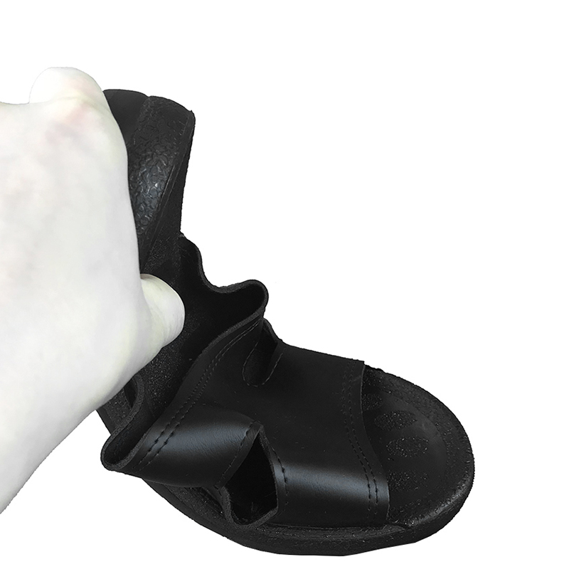 জেএস -009 ইএসডি স্লিপার